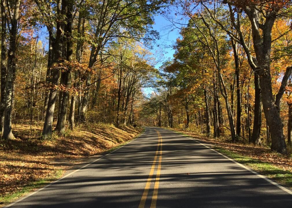 #40. Greene County